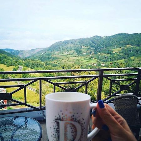 Teonalux Milmari Resort P84 科帕奥尼克 外观 照片